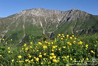 004 Sentiero dei fiori - Cima Menna